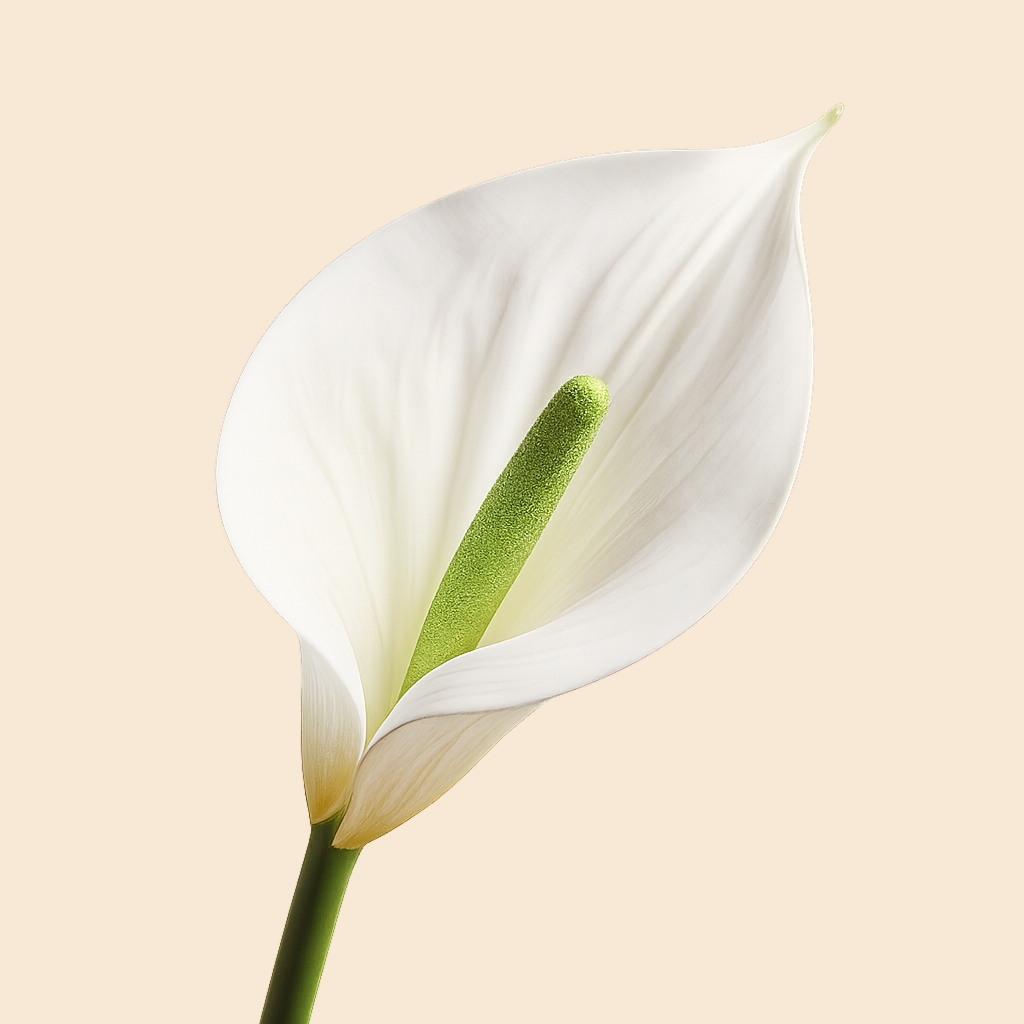 Flor decorativa