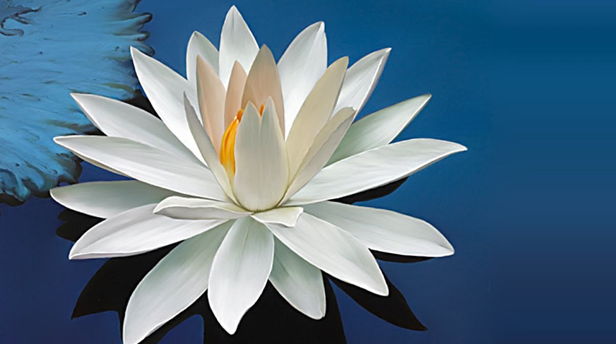 Flor de fé
